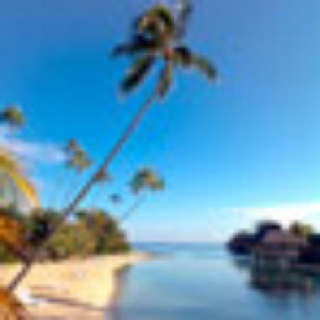 Parag Milk Bar & Restaurant